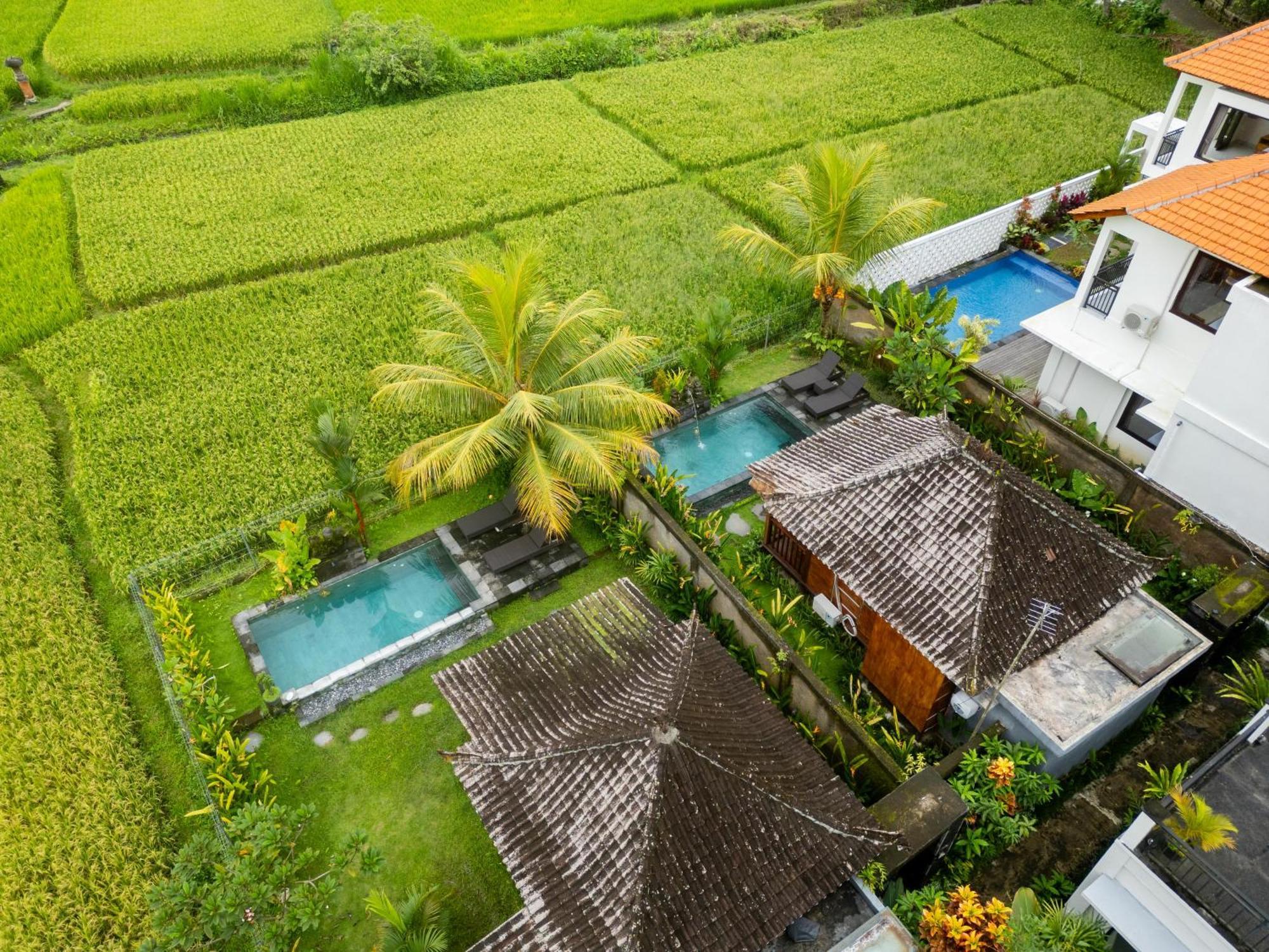 Mardika Private Villa ウブド エクステリア 写真